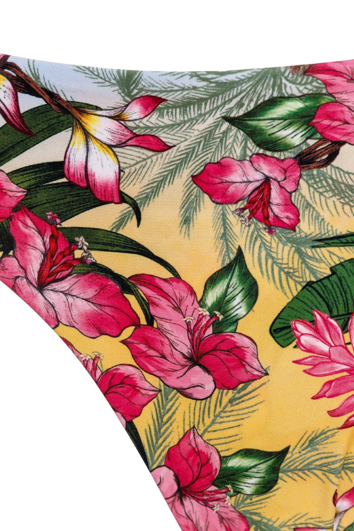 Ventura-ilu-bikini-bottom-15440-7