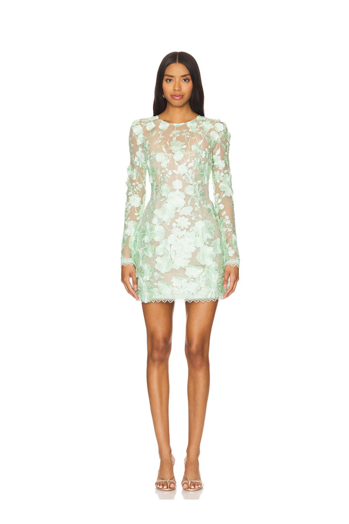 Bouquet Maraya Long Sleeve Mini Dress